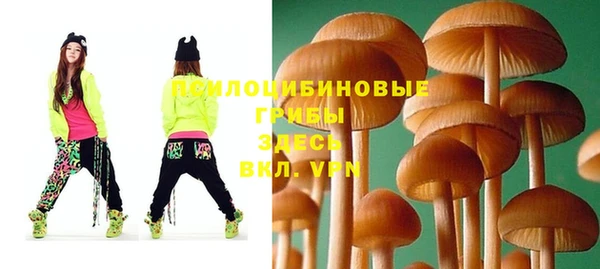 эйфоретик Аркадак