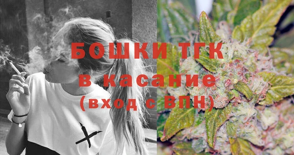 крисы Армянск
