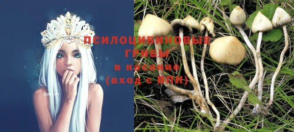крисы Армянск