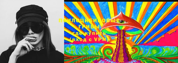 эйфоретик Аркадак